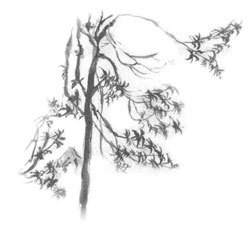 Дорога на Аннапурну - i_039.jpg