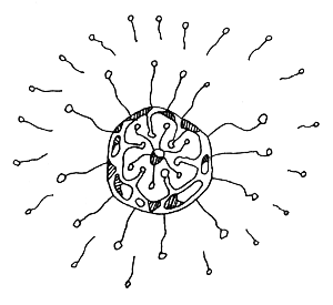 Сампо-Лопаренок - i_004.png