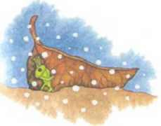 Зимняя сказка (сборник) - i_014.jpg