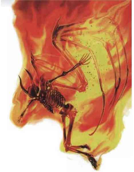 Бездарь - pic_13.jpg