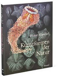 Дневник дизайнера-маньяка - _41.jpg