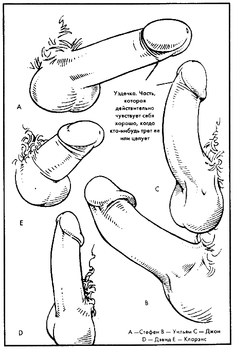 Библия секса - i_011.png