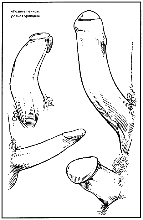 Библия секса - i_012.png