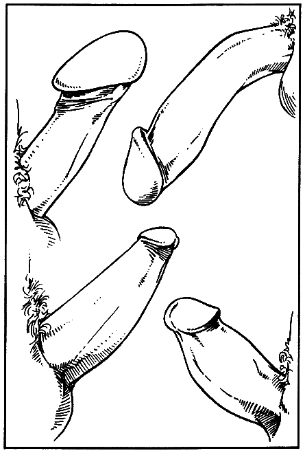 Библия секса - i_013.png