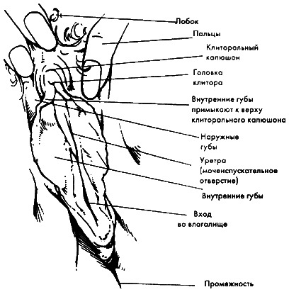 Библия секса - i_015.png