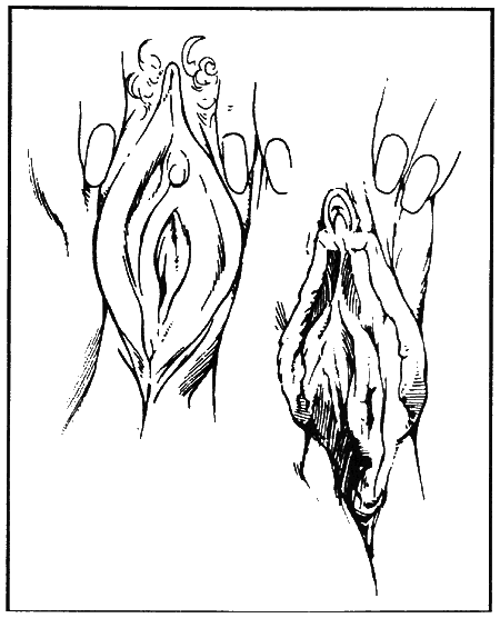 Библия секса - i_017.png