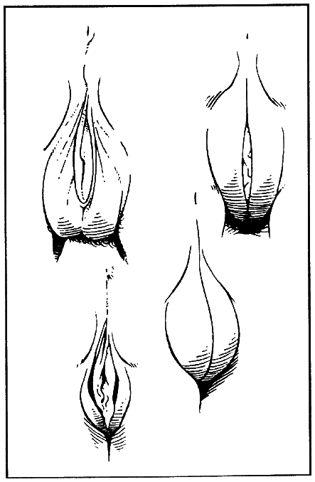 Библия секса - i_019.png