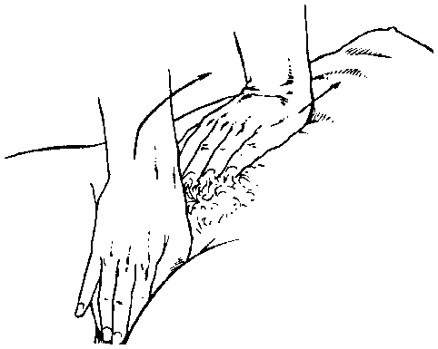 Библия секса - i_029.png