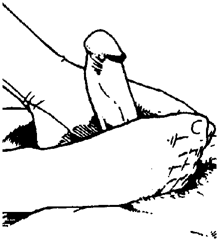 Библия секса - i_075.png