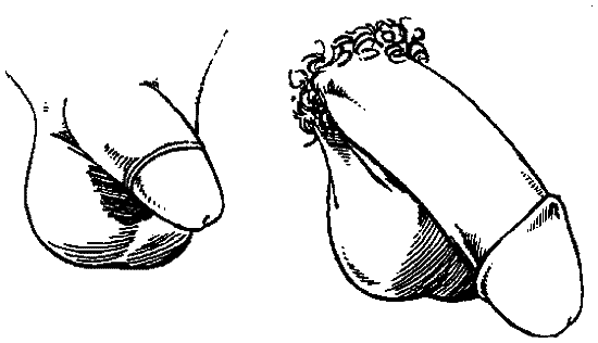 Библия секса - i_086.png