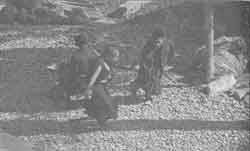 Что сказали тибетские ламы - any2fbimgloader31.jpeg