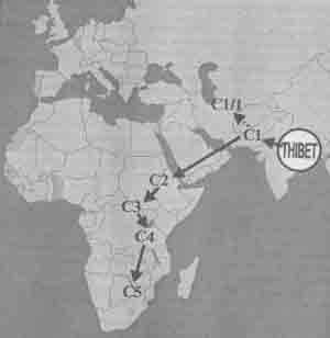 Встреча с мастером - any2fbimgloader37.jpeg