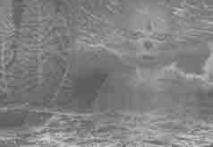 Встреча с мастером - any2fbimgloader48.jpeg