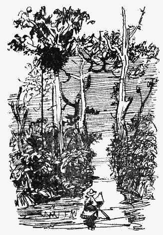 Пригоди Гекльберрі Фінна - i_012.png