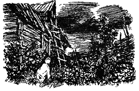 Рассказы - i_001.png