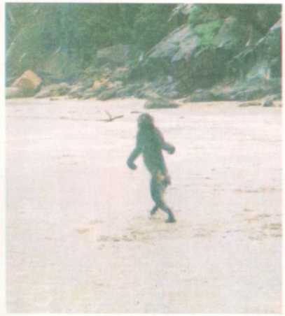 От кобры до медведя гризли - i_018.jpg