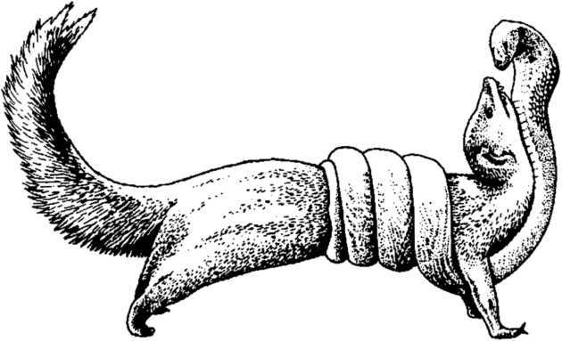 От кобры до медведя гризли - i_024.jpg