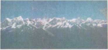 От кобры до медведя гризли - i_025.jpg