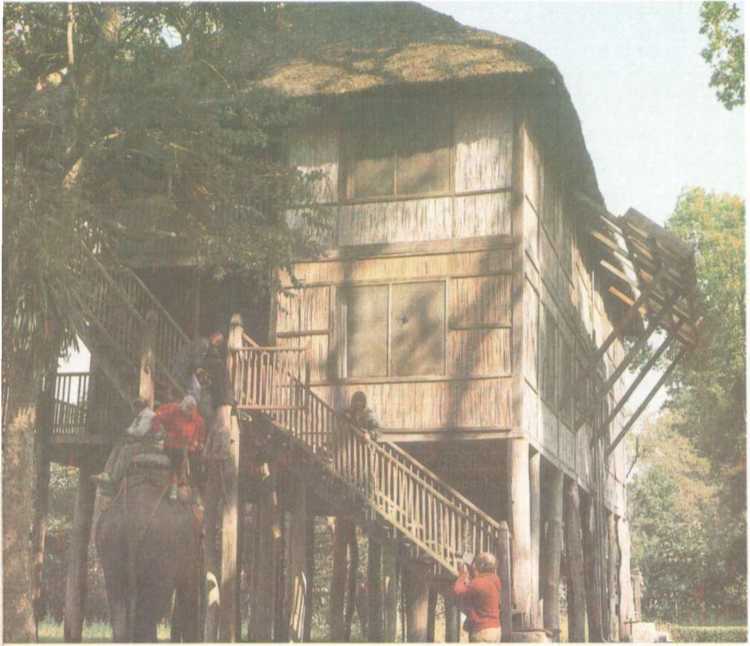 От кобры до медведя гризли - i_030.jpg