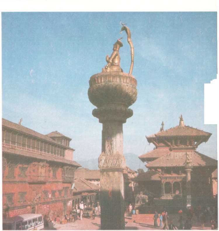 От кобры до медведя гризли - i_031.jpg