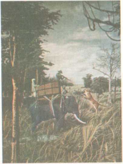 От кобры до медведя гризли - i_032.jpg