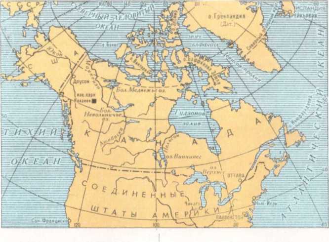 От кобры до медведя гризли - i_047.jpg