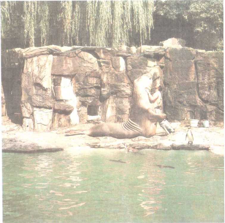 От кобры до медведя гризли - i_085.jpg