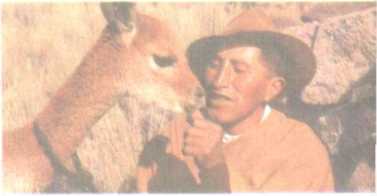 От кобры до медведя гризли - i_086.jpg