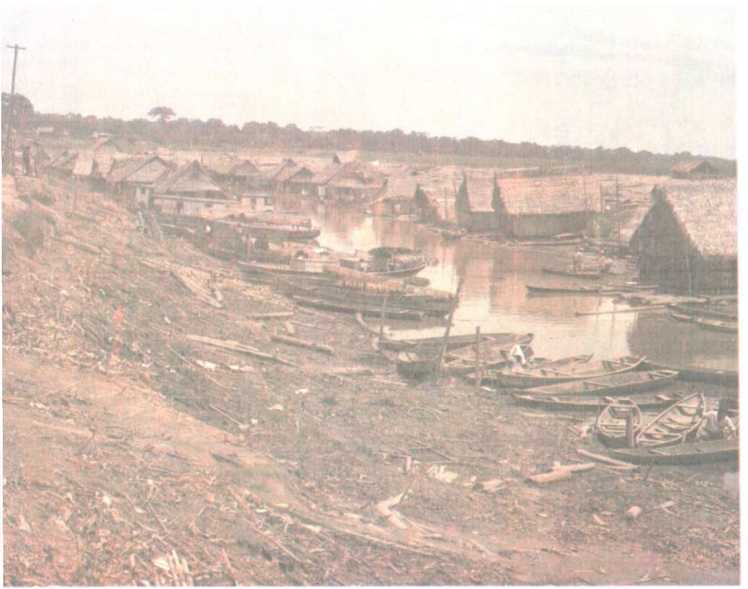 От кобры до медведя гризли - i_087.jpg