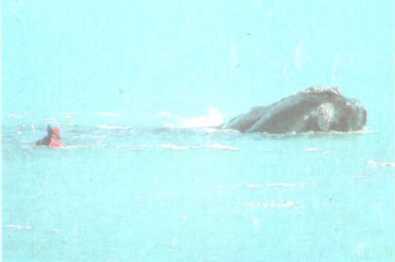 От кобры до медведя гризли - i_095.jpg