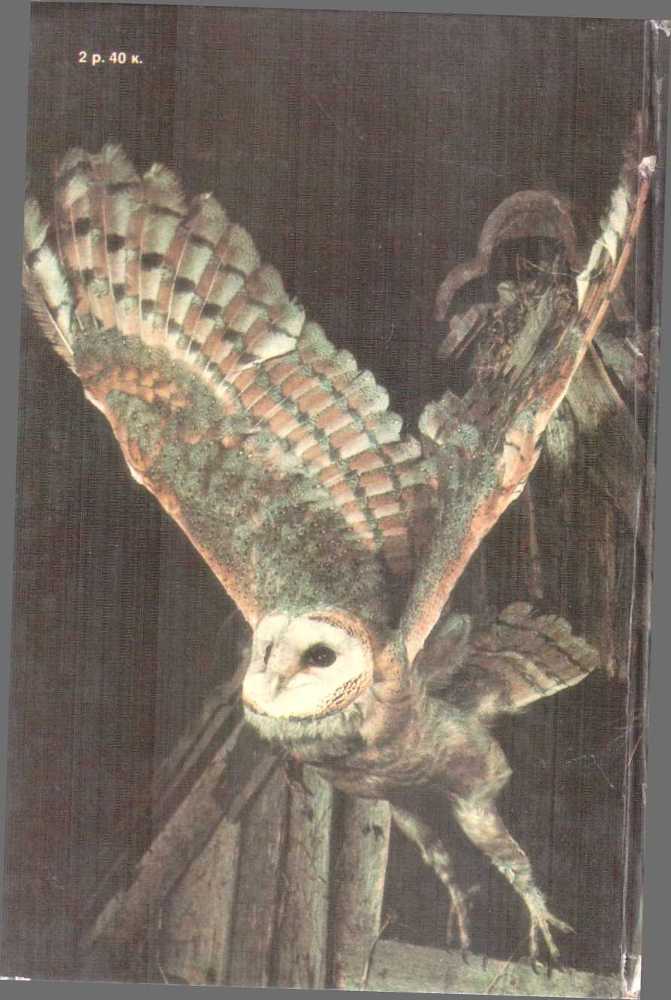 От кобры до медведя гризли - i_124.jpg