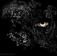 Фотографии реальности (СИ) - Кувайкова Анна Александровна