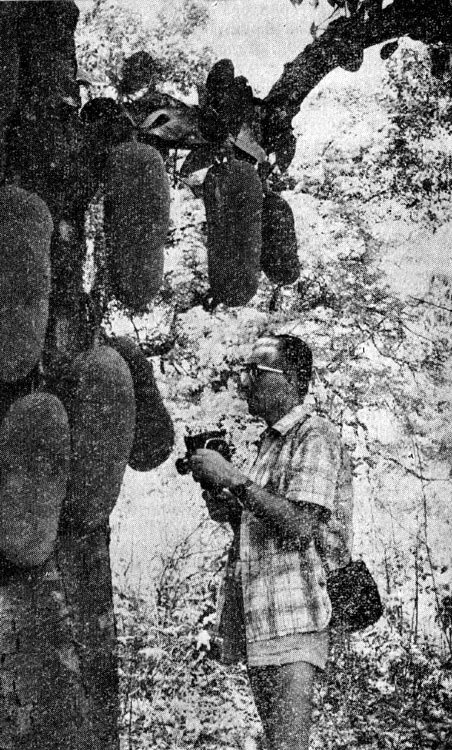 Индия глазами советских друзей - i_009.jpg