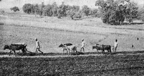 Индия глазами советских друзей - i_014.jpg