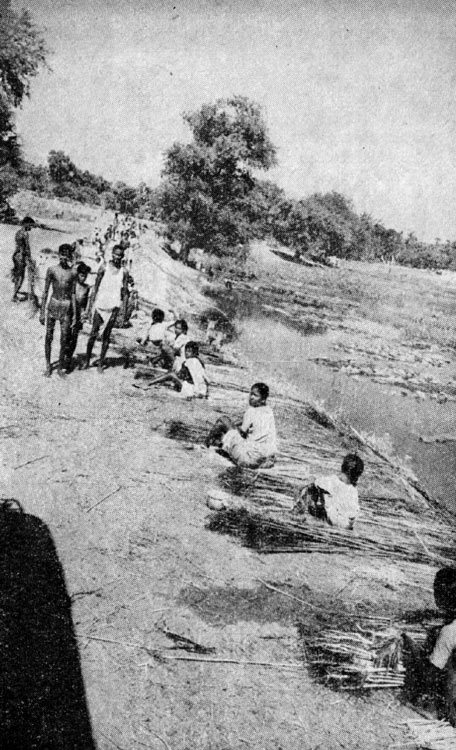 Индия глазами советских друзей - i_016.jpg