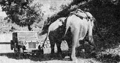 Индия глазами советских друзей - i_017.jpg