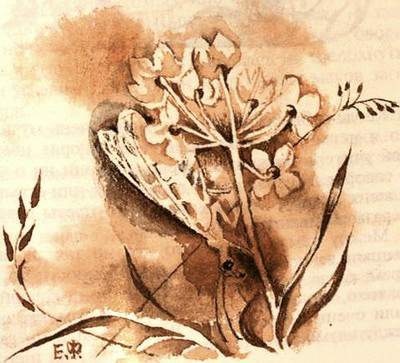 Собака и Священный цветок - i_006.jpg