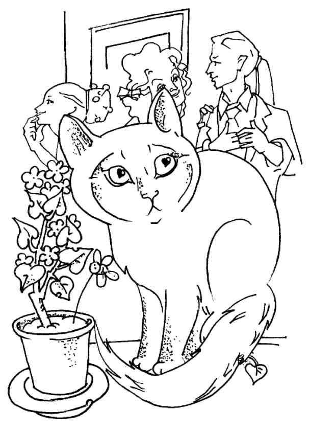 Кошки как дети - i_017.jpg