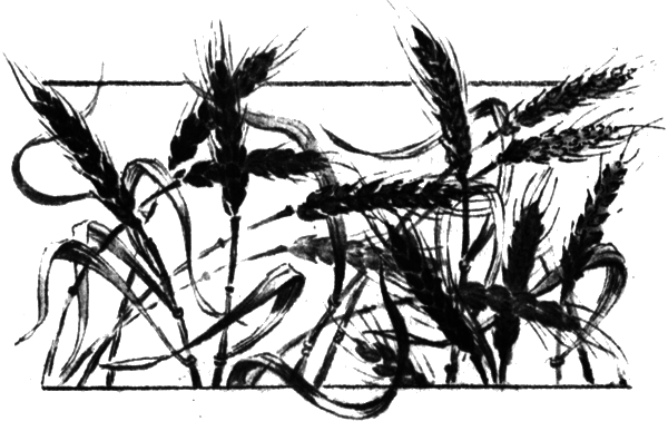 Последний коршун - i_006.png