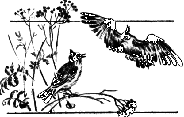 Последний коршун - i_019.png