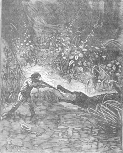 Похитители бриллиантов (др. изд.) - i_014.jpg