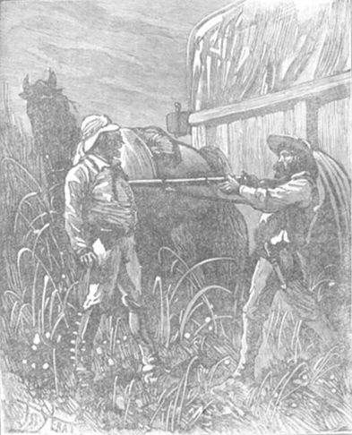 Похитители бриллиантов (др. изд.) - i_026.jpg