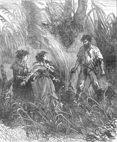 Похитители бриллиантов (др. изд.) - i_048.jpg