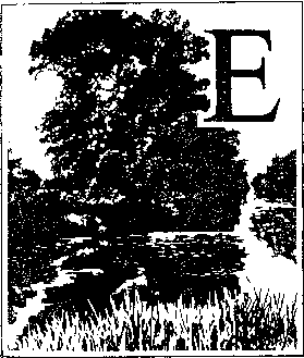 На речных берегах - image008.png