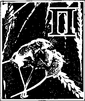 На речных берегах - image012.png