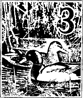 На речных берегах - image014.png