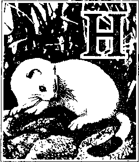 На речных берегах - image018.png