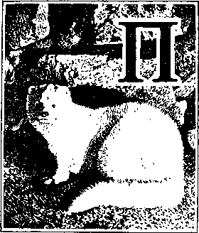 На речных берегах - image022.png