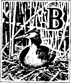 На речных берегах - image030.png