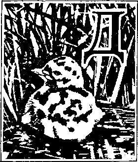 На речных берегах - image046.png